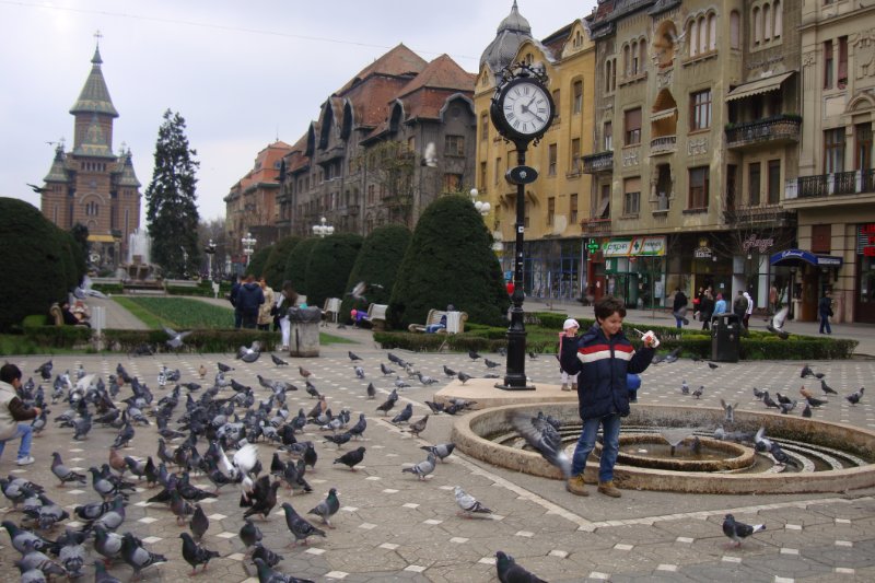 Temišvar, Rumunija, Trg pobede